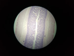 MISSING THUMBNAIL